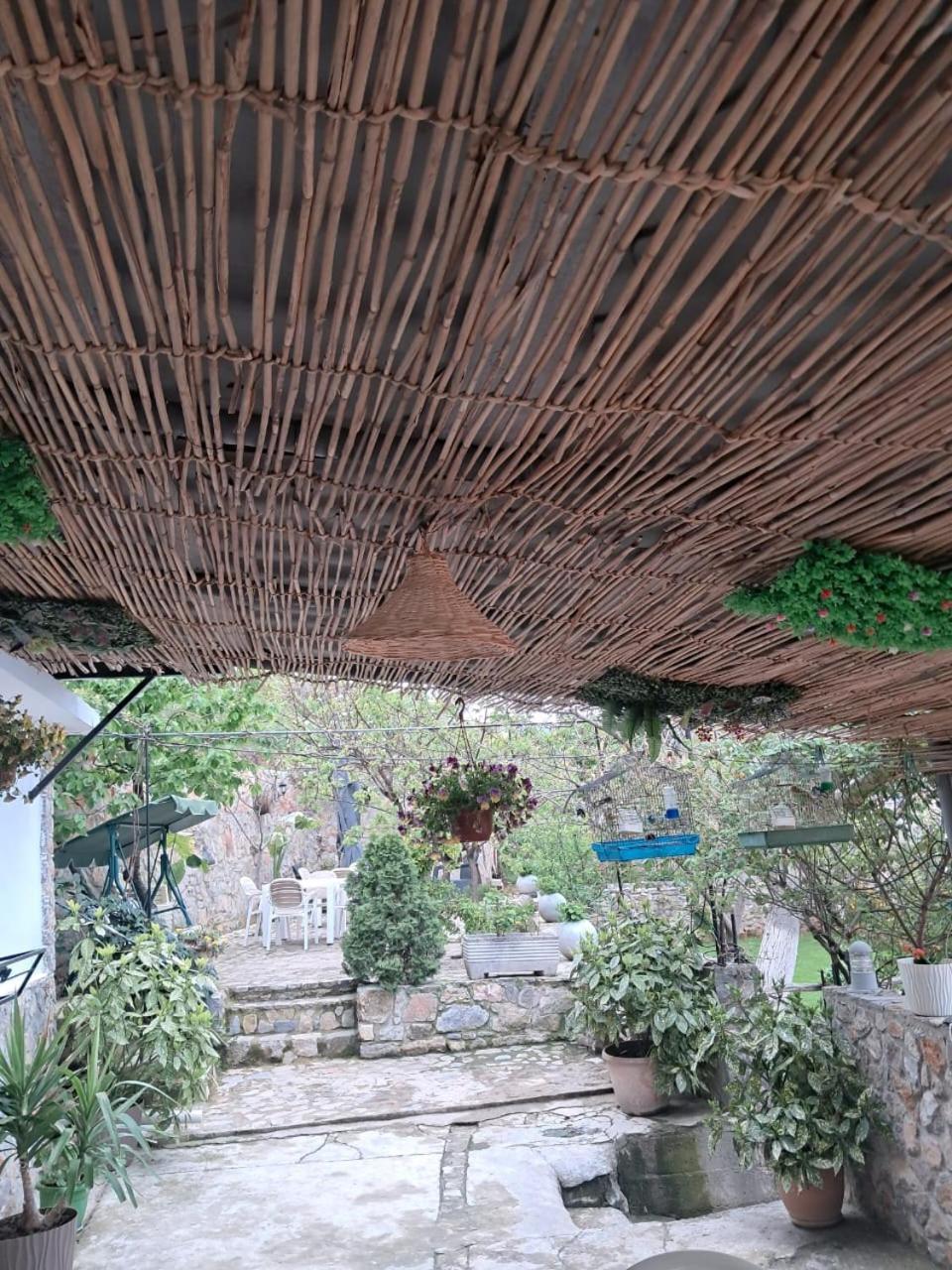 Roleo Guest House Lin Luaran gambar